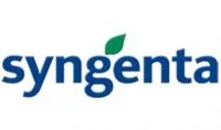Семена рапса Syngenta
