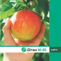 Фунгицид Дитан М-45, СП(800 г/кг)