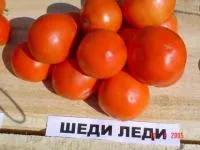 Томат Шеди леди. Детерминантный. 1000 шт. Семена.