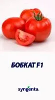 Бобкат F1 (100c)