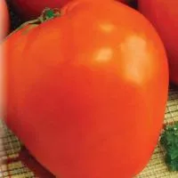 Томат Бычье Сердце Оранжевое 0,1Г НК