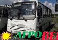 ПАЗ-3203