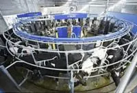 Доильный зал для коров PR 3100 HD Карусель