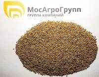 Семена тимофеевки луговой Грация