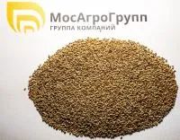 Семена тимофеевки луговой Северодвинская