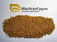 Горчица белая Луговская